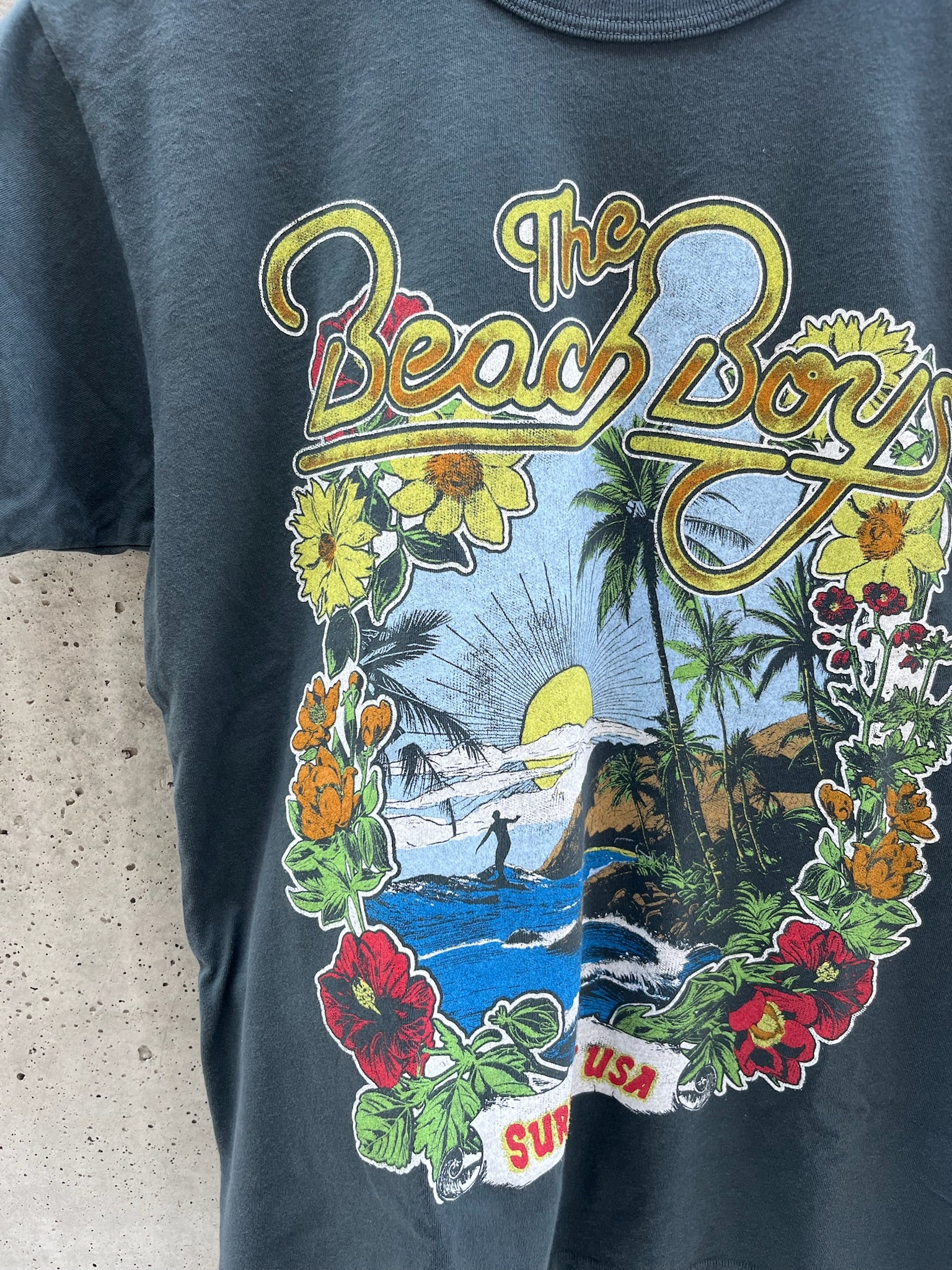 Daydreamer Beach Boys 1963 Ringer Tee | Vagabond Apparel Boutique