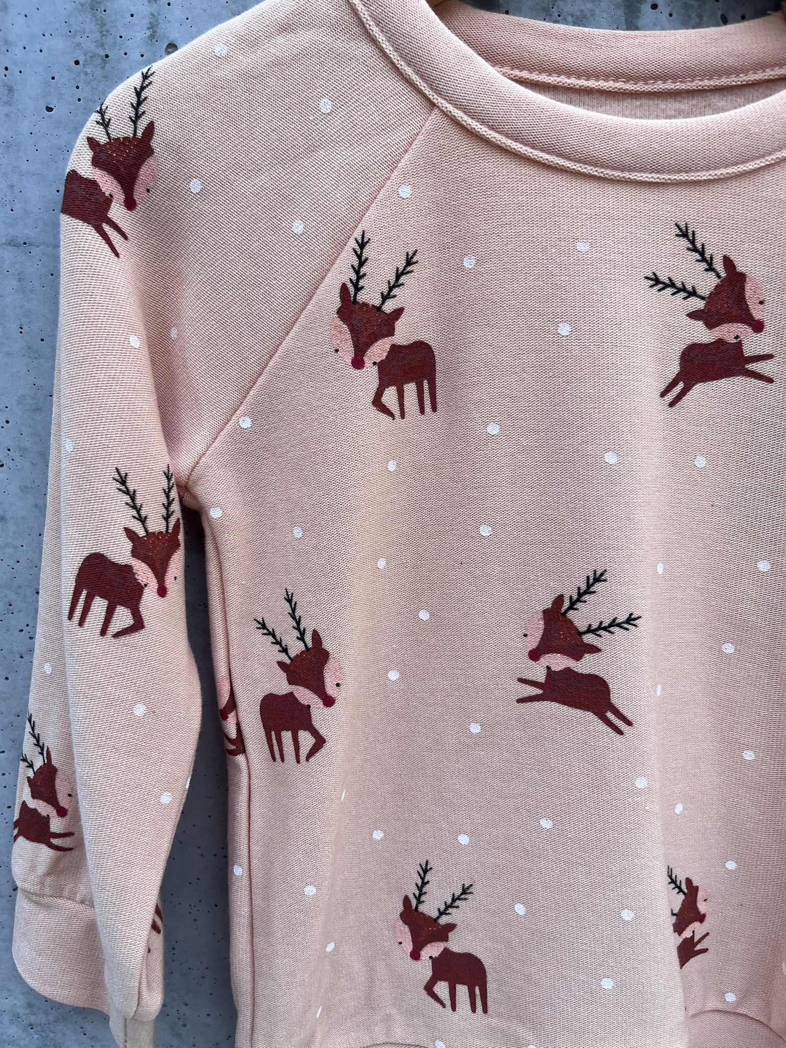 Chaser Kid Reindeer Snow Pullover