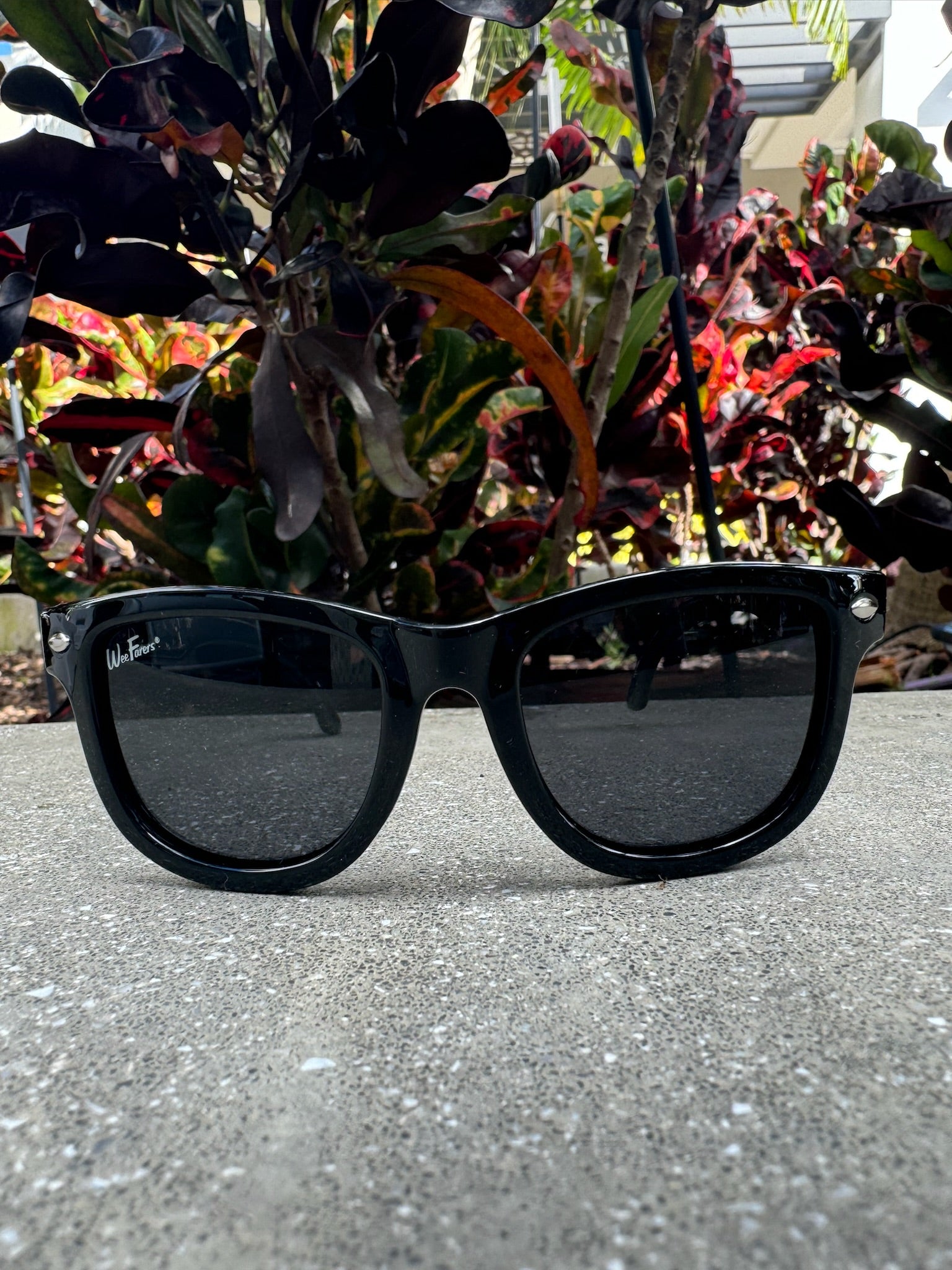 Weefarers Sunnies | Vagabond Apparel Boutique