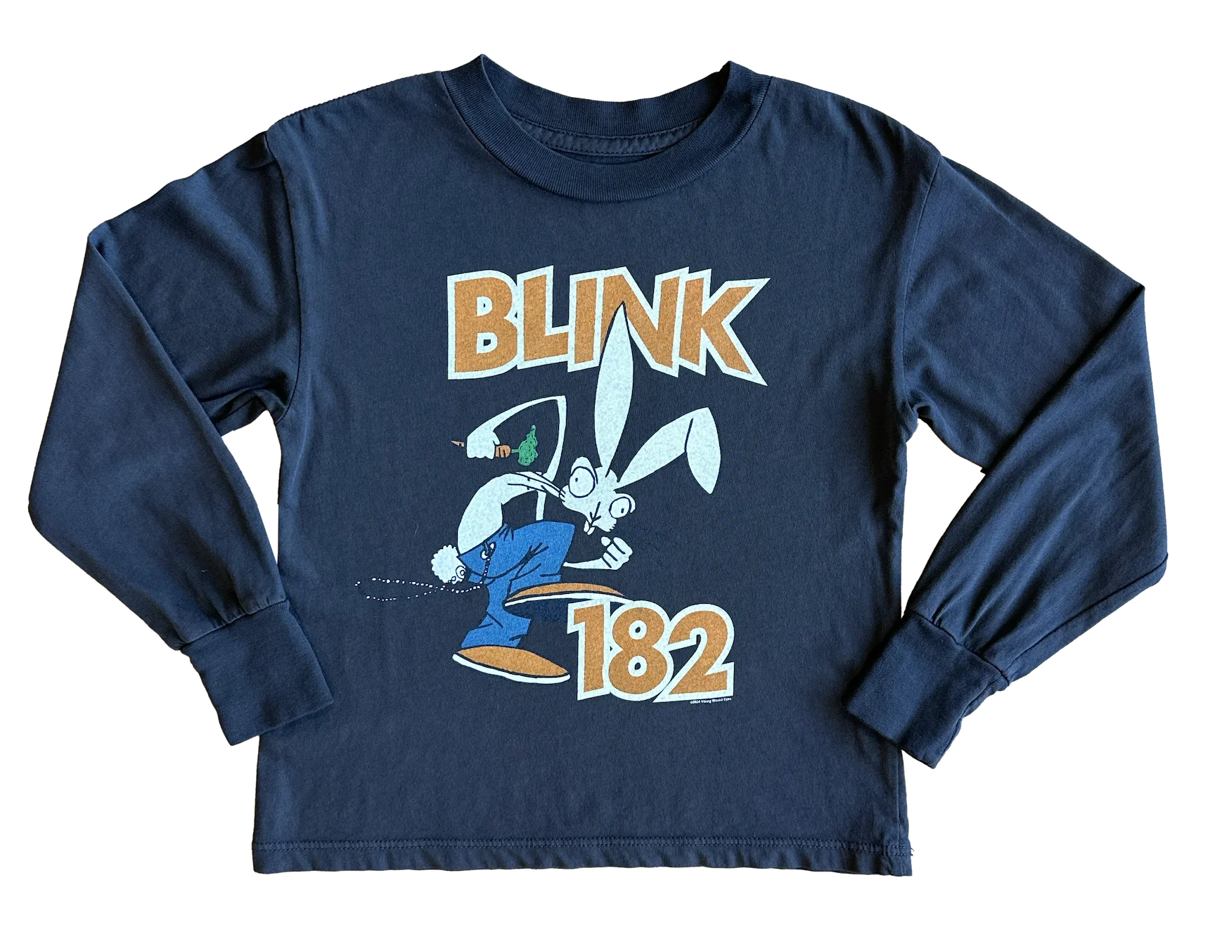 Rowdy Sprouts Blink 182 LS Tee Vintage Black | Vagabond Apparel Boutique