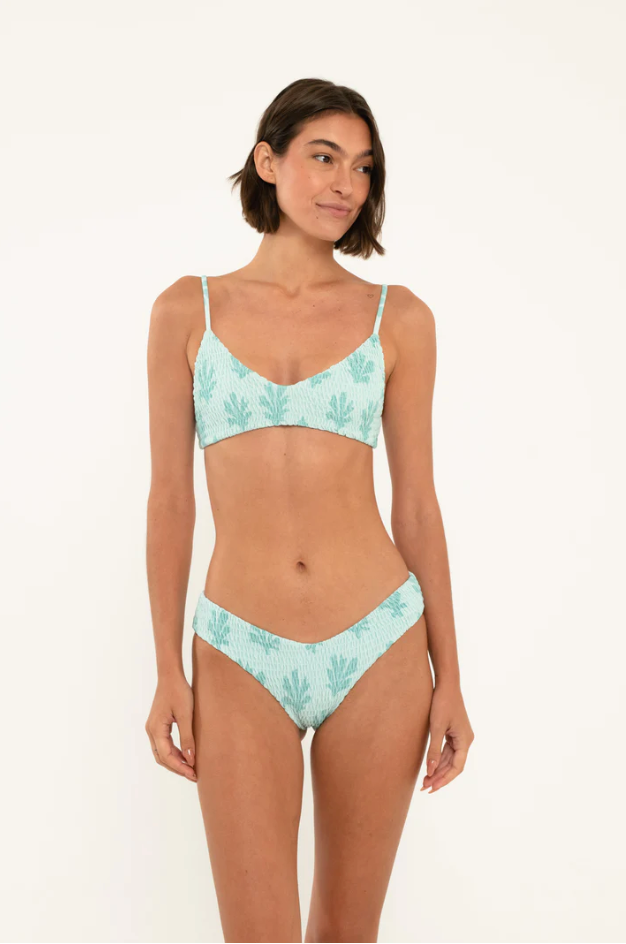 Citrine Lila Bottom Mint Reef